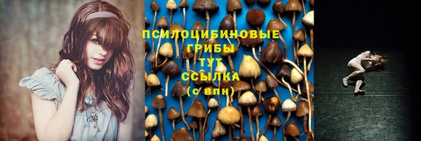 бошки Аркадак